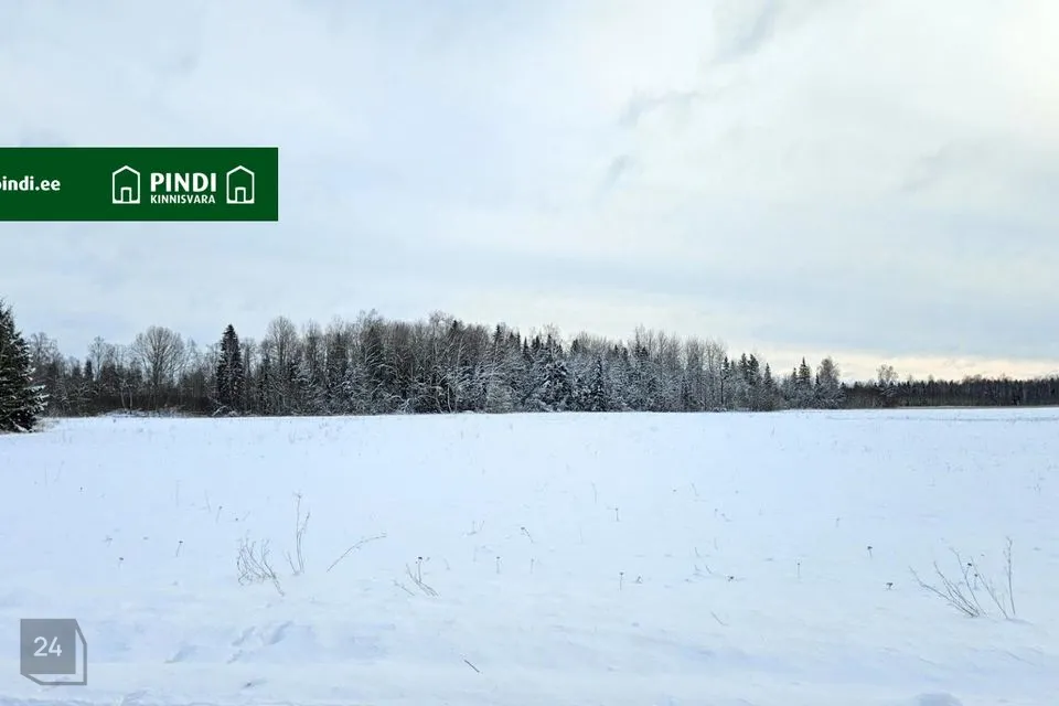 Maatulundusmaa, 88187 m² участок в Rapla vald, Uusküla - фото 3