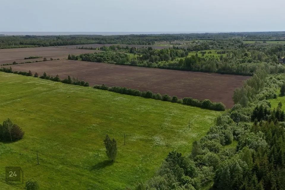 Maatulundusmaa, 12348 m² участок в Pärnu linn, Kihlepa küla - фото 4
