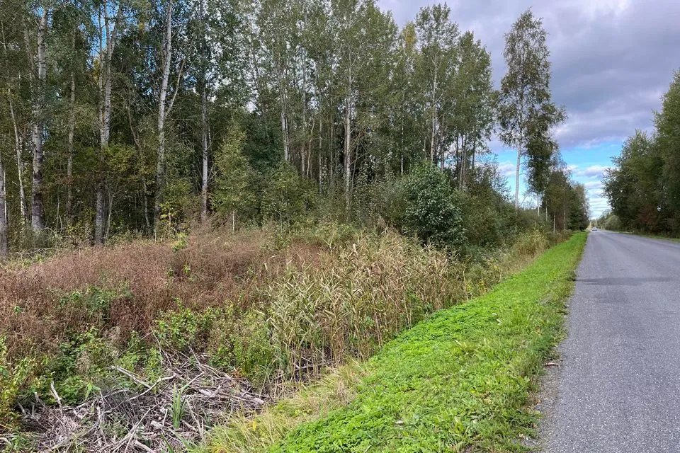 Maatulundusmaa, 10047 m² участок в Peipsiääre vald, Kasepää alevik