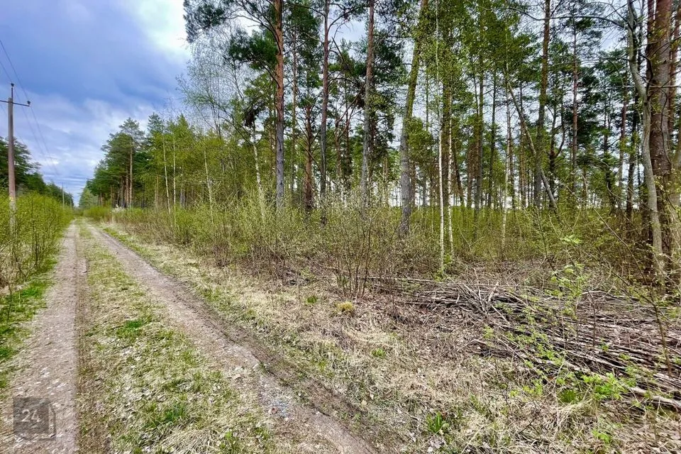 Maatulundusmaa, 29000 m² участок в Saaremaa vald, Parila küla - фото 5
