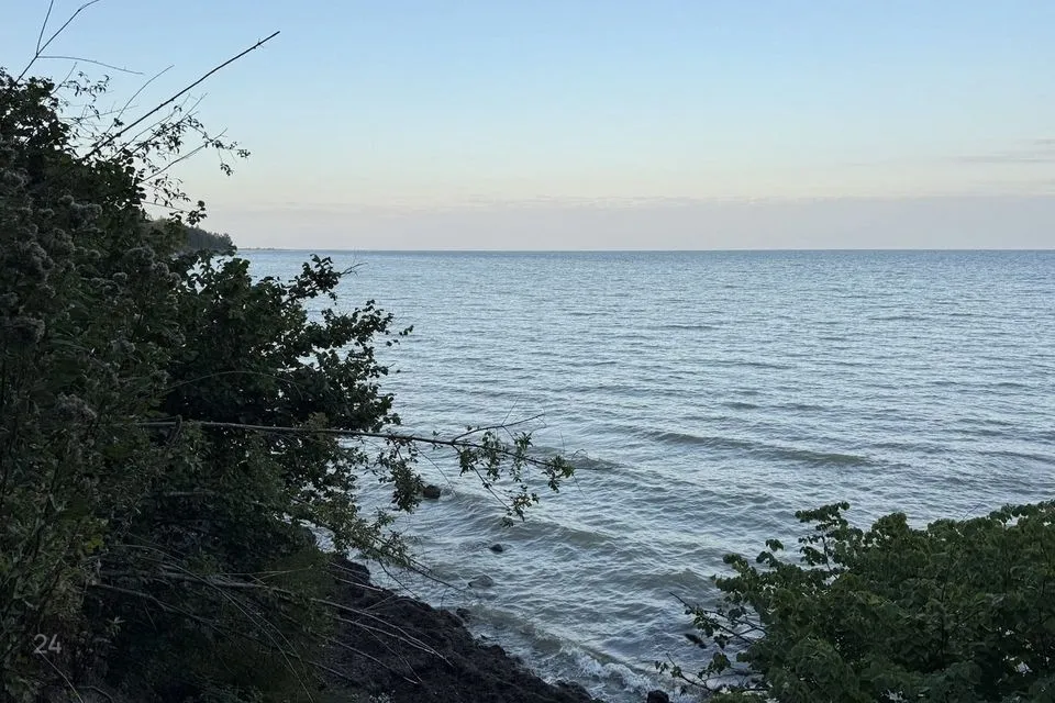 Elamumaa, 178695 m² Maa - Saaremaa vald, Mõntu küla