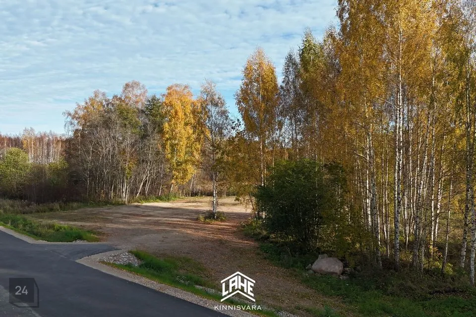 Maatulundusmaa, 26676 m² Maa  -  Võru vald, Võlsi küla - foto 2