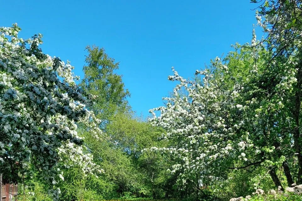 Elamumaa, 1534 m² Maa - Lääne-Harju vald, Laulasmaa küla - foto 2