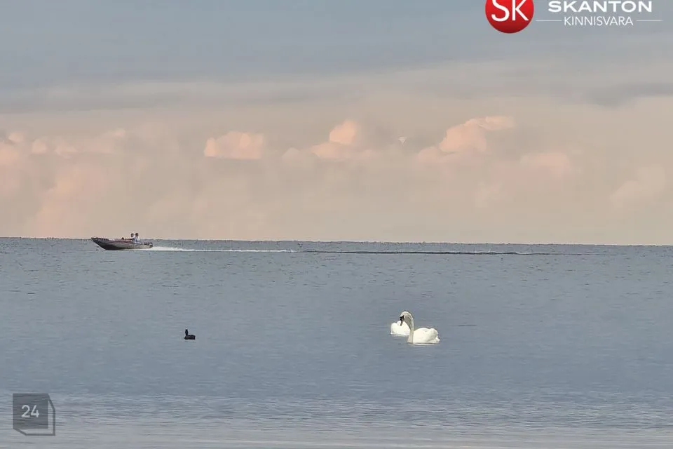 3-комнатная дом в Mustvee vald, Raja küla - фото 2