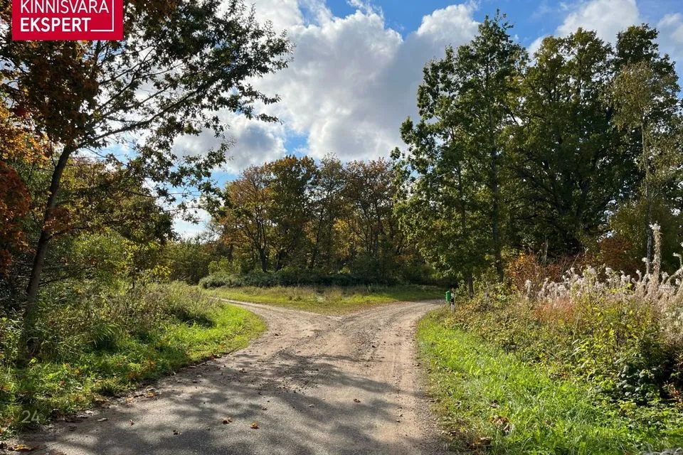 Maatulundusmaa, 6955 m² Maa  -  Pärnu linn, Aruvälja küla - foto 2