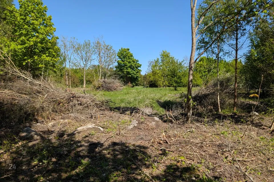 Maatulundusmaa, 4433 m² Maa - Saaremaa vald, Muratsi küla - foto 3