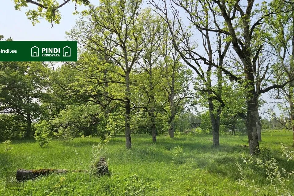 Maatulundusmaa, 16840 m² Maa - Märjamaa vald, Vana-Vigala küla - foto 4