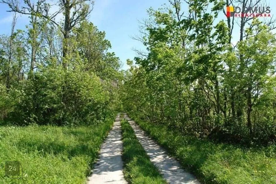 Maatulundusmaa, 18000 m² Maa - Raasiku vald, Pikavere küla - foto 4