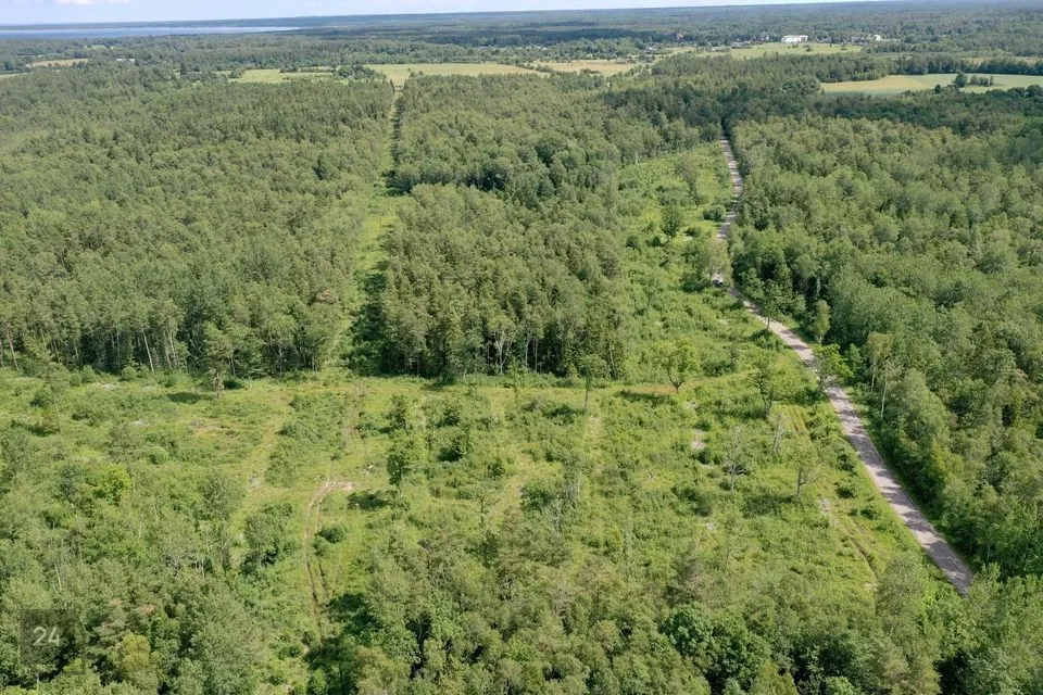 Maatulundusmaa, 69800 m² Maa  -  Saaremaa vald, Mustjala küla - foto 2