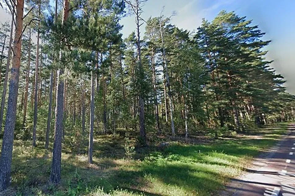 Maatulundusmaa, 21185 m² Maa  -  Setomaa vald, Väike-Rõsna küla - foto 2