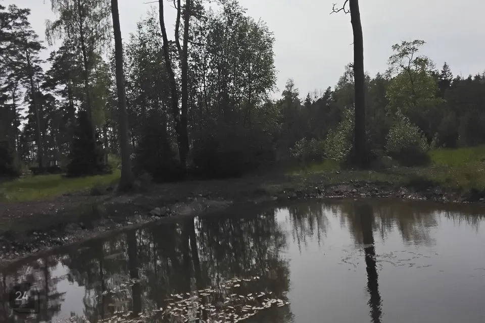 Elamumaa, 5250 m² Maa - Hiiumaa vald, Kalana küla - foto 3