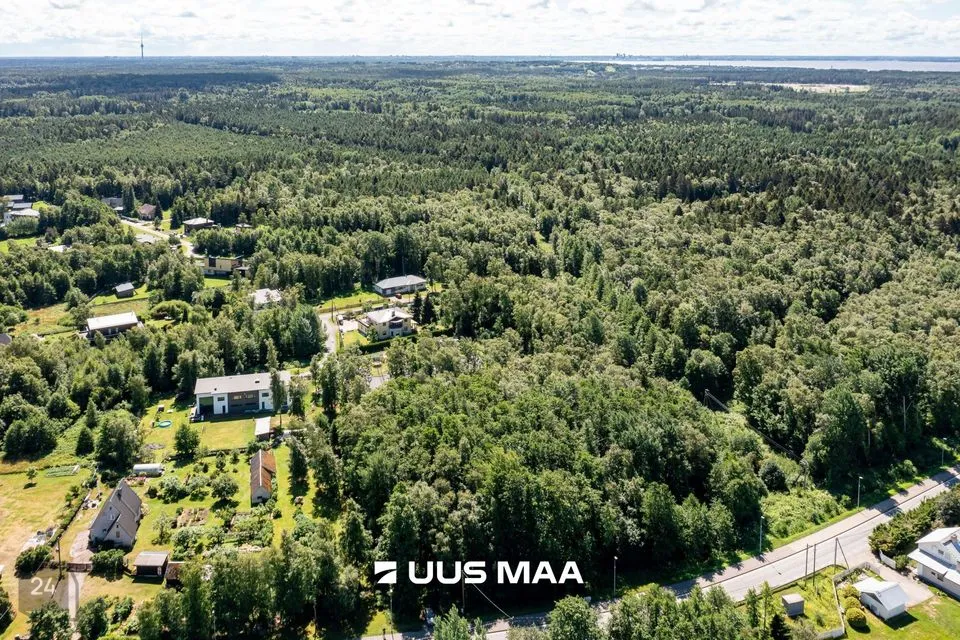 Elamumaa, 3255 m² Maa  -  Viimsi vald, Leppneeme küla - foto 4