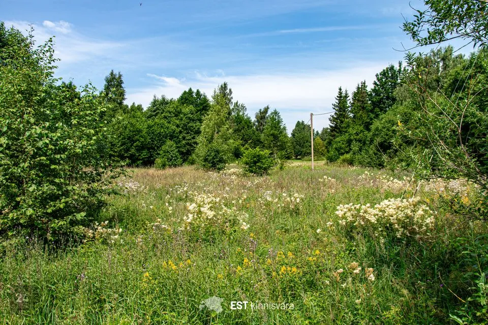 Maatulundusmaa, 11194 m² Maa - Lääneranna vald, Rädi küla - foto 2