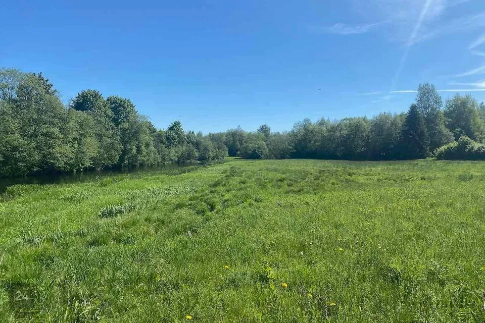 Maatulundusmaa, 51200 m² Maa  -  Türi vald, Jändja küla - foto 2
