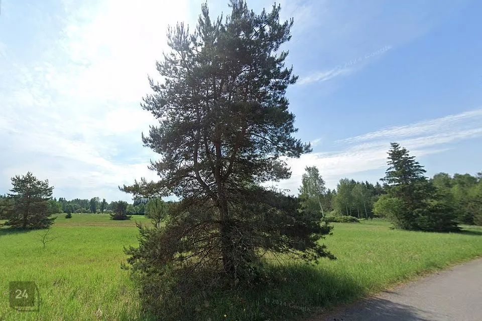 Maatulundusmaa, 6951 m² Maa - Türi vald, Kolu küla - foto 5