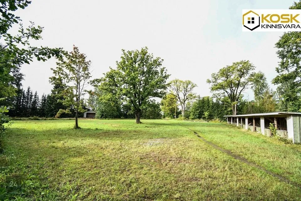 Ärimaa või Elamumaa, 11369 m² Maa  -  Tori vald, Jõesuu küla - foto 2