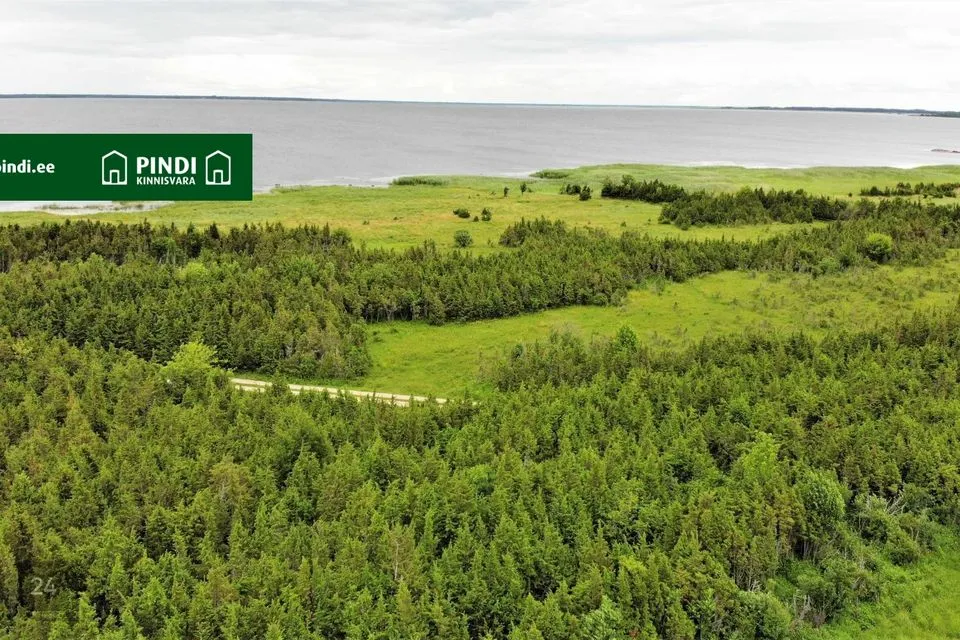 Maatulundusmaa, 40000 m² участок в Lääneranna vald, Saastna küla - фото 5