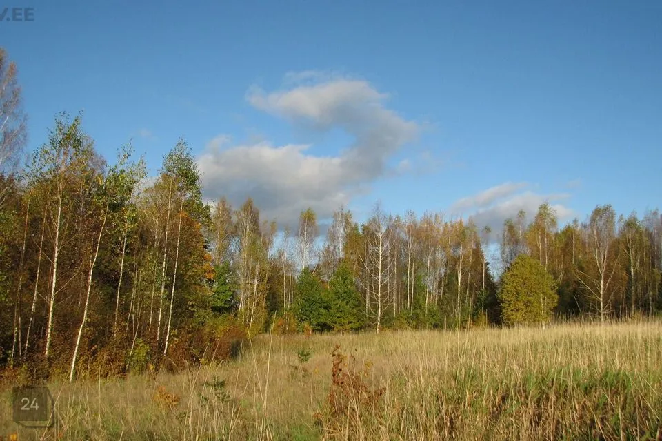 Maatulundusmaa, 34870 m² Maa  -  Tori vald, Taali küla - foto 3