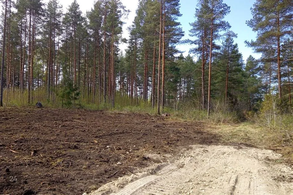 Maatulundusmaa, 15977 m² участок в Haapsalu linn, Rummu küla - фото 5