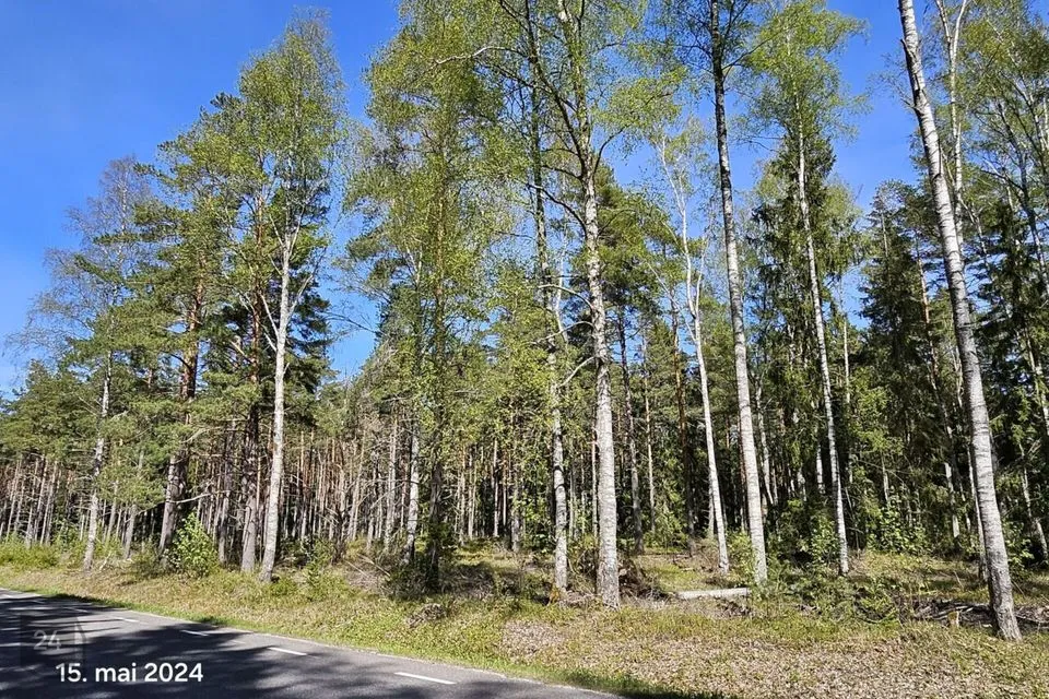 Maatulundusmaa, 13644 m² Maa  -  Lääne-Nigula vald, Elbiku küla / Ölbäck
