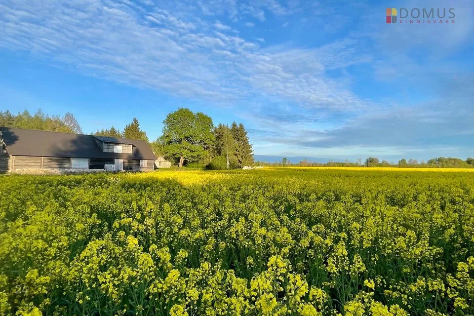 0 m² Maja - Lääne-Nigula vald, Ohtla küla - foto 5