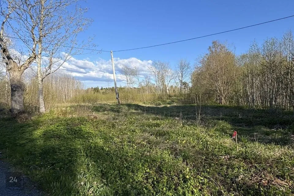 Maatulundusmaa, 10012 m² Maa - Saaremaa vald, Käesla küla - foto 2