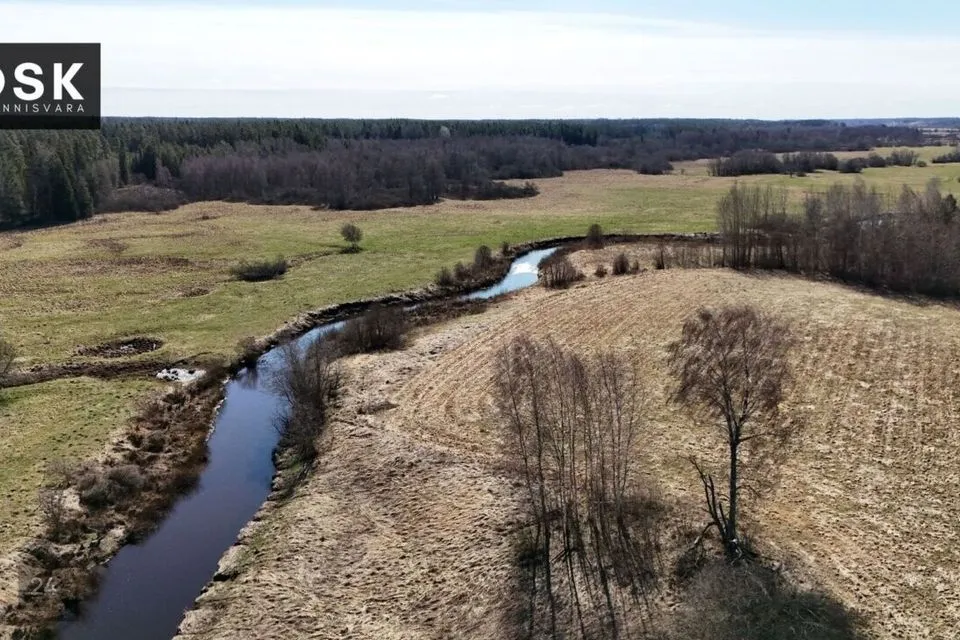Maatulundusmaa, 164943 m² Maa  -  Antsla vald, Roosiku küla - foto 3