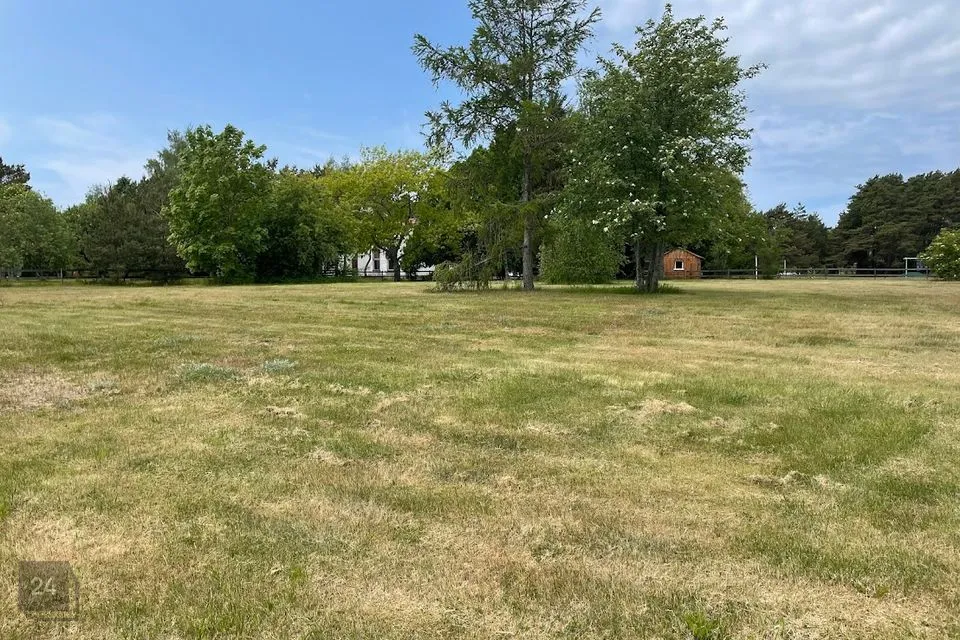 Elamumaa, 11126 m² Maa - Saaremaa vald, Salme alevik - foto 3