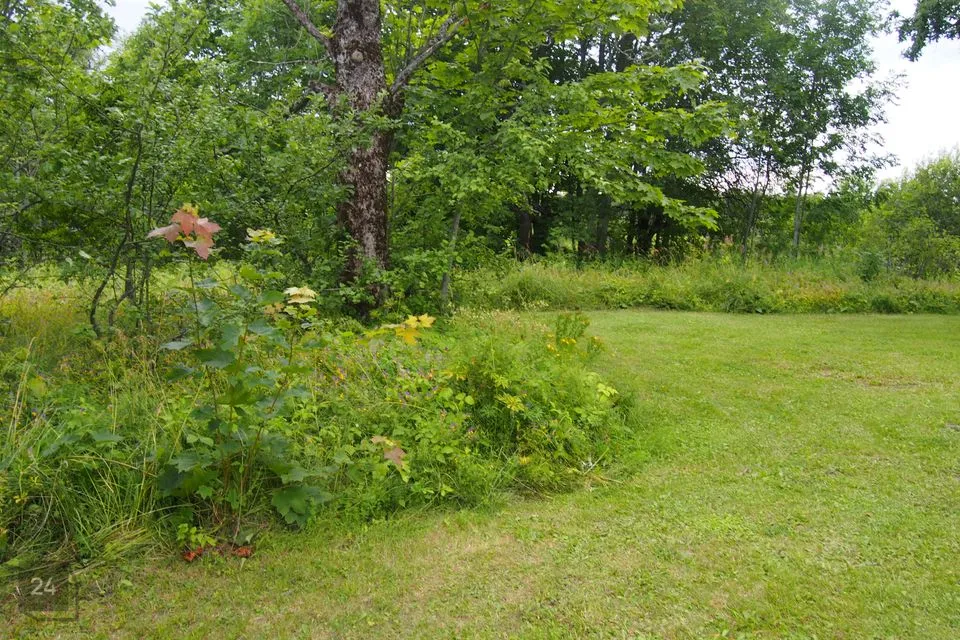 Maatulundusmaa, 30920 m² участок в Pärnu linn, Aruvälja küla - фото 3