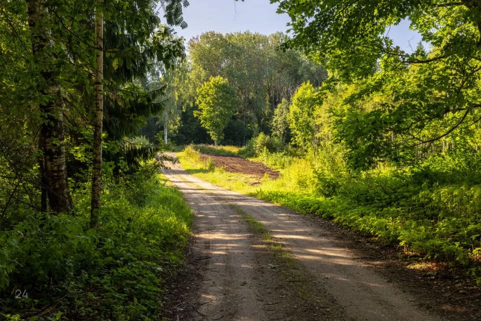 Maatulundusmaa või Ärimaa, 13512 m² Maa  -  Võru vald, Koloreino küla - foto 3
