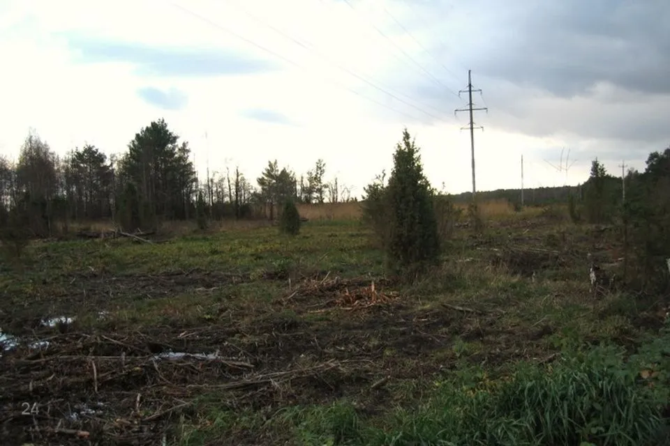 Elamumaa, 7588 m² Maa  -  Hiiumaa vald, Luguse küla - foto 3