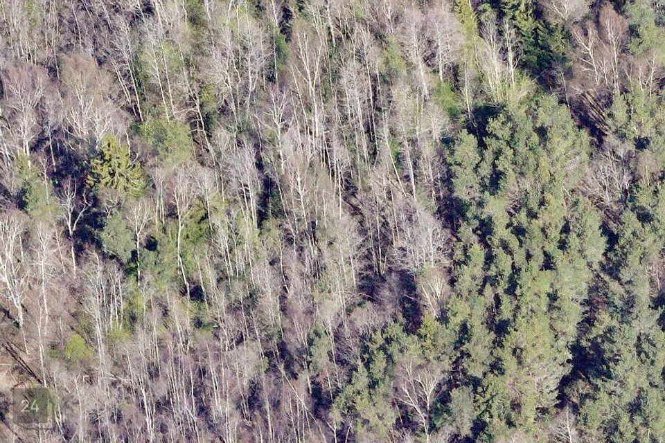 Maatulundusmaa, 58135 m² Maa - Hiiumaa vald, Kukka küla - foto 3