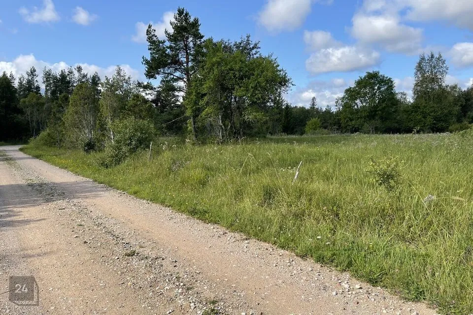 Maatulundusmaa, 26700 m² Maa  -  Saaremaa vald, Linnuse küla - foto 2