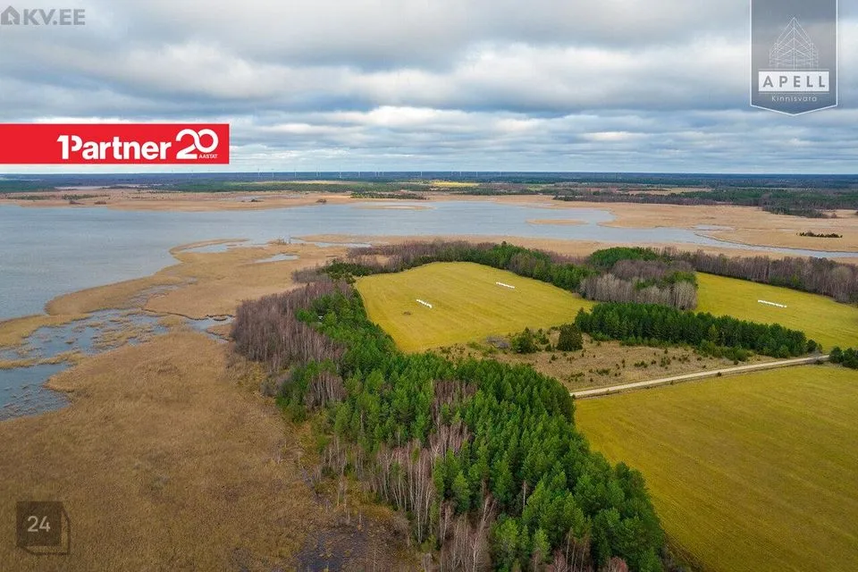 Maatulundusmaa, 114871 m² Maa - Lääne-Nigula vald, Saare küla / Lyckholm - foto 2