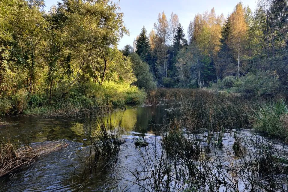 Maatulundusmaa, 9598 m² Maa  -  Saarde vald, Kanaküla - foto 2