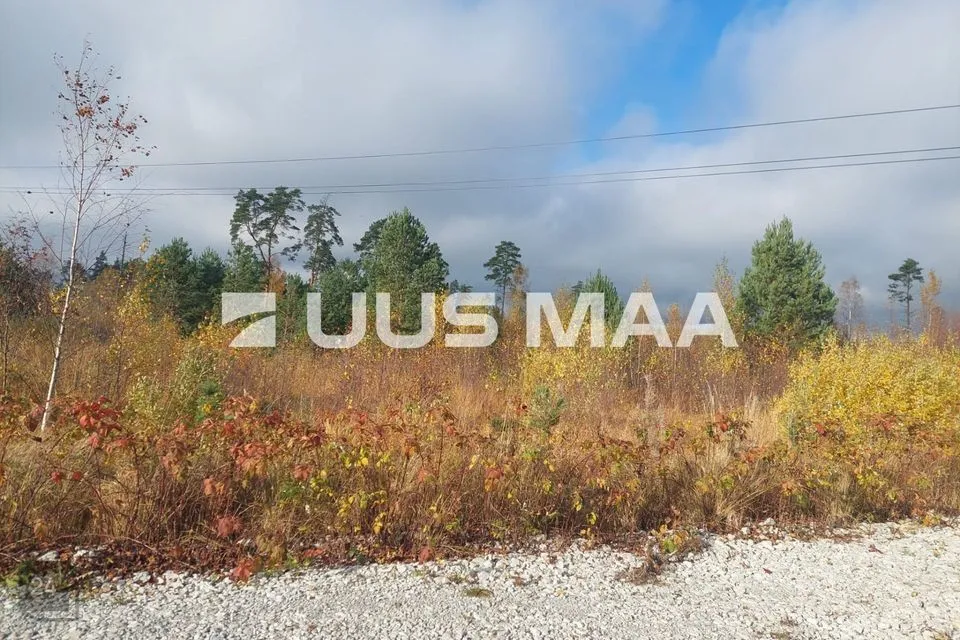 Elamumaa, 2013 m² Maa  -  Alutaguse vald, Kuru küla