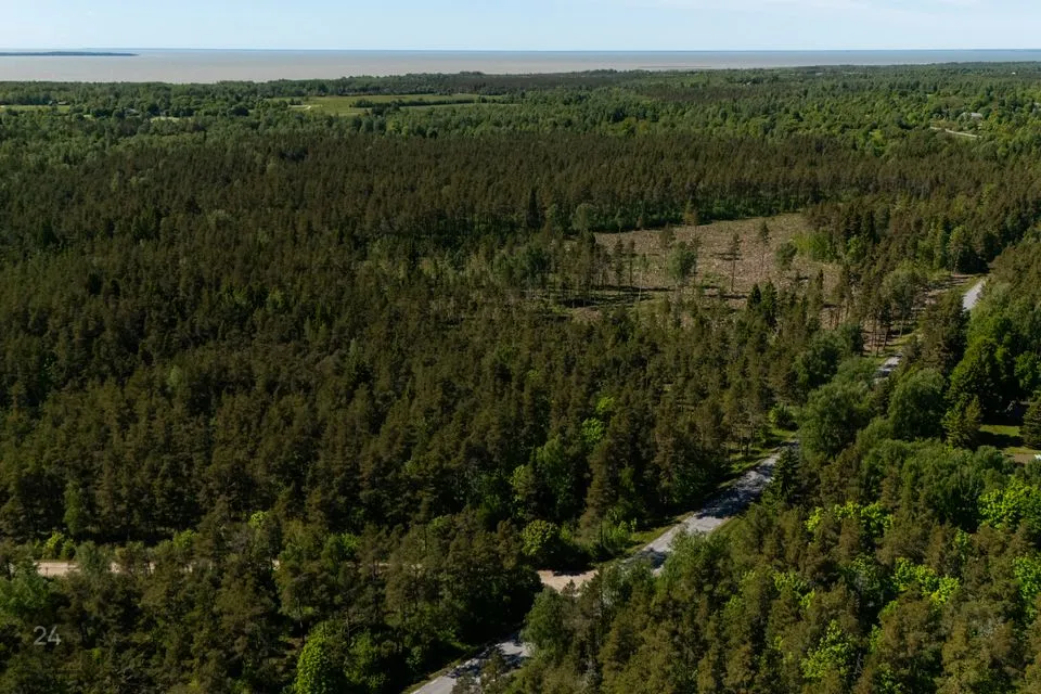 Maatulundusmaa, 12572 m² участок в Muhu vald, Rinsi küla - фото 3