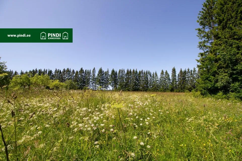 Sotsiaalmaa - ühiskondlike ehitiste maa, 13148 m² Maa  -  Lääne-Nigula vald, Pürksi küla / Birkas - foto 4