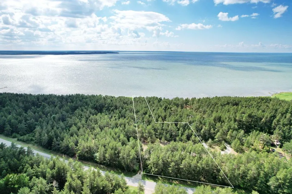Maatulundusmaa, 7450 m² Maa  -  Saaremaa vald, Jõiste küla - foto 4