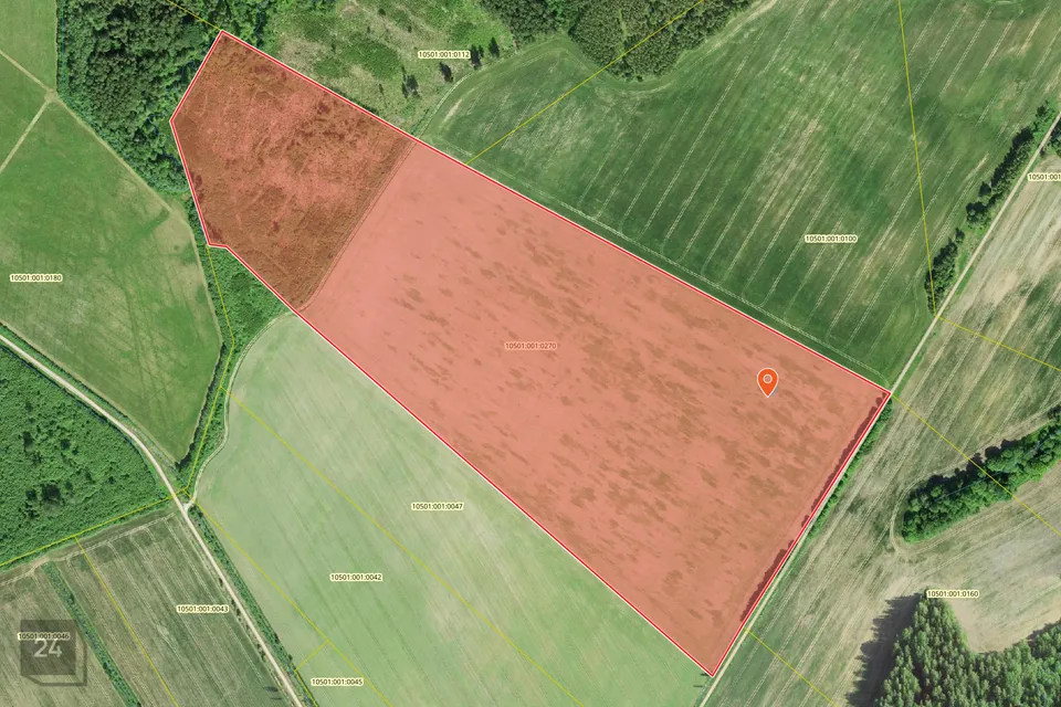 Maatulundusmaa, 192458 m² Maa  -  Mulgi vald, Sarja küla - foto 2