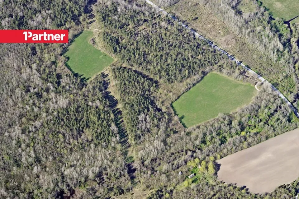 Maatulundusmaa, 101462 m² Maa  -  Saaremaa vald, Maleva küla - foto 5