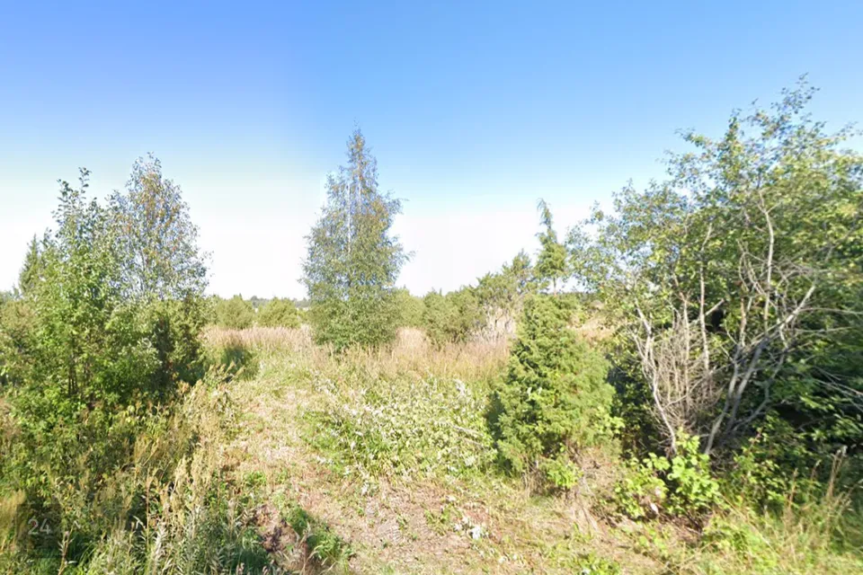 Elamumaa, 11000 m² Maa  -  Lääne-Nigula vald, Rooslepa küla / Roslep - foto 3