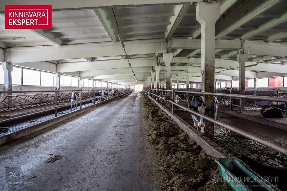 Tootmine, 6348 m² Äripind - Lääneranna vald, Oidrema küla - foto 4