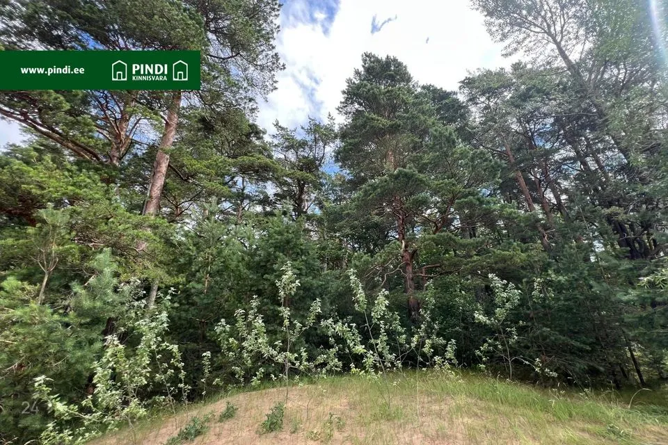 Elamumaa, 4715 m² Maa - Narva-Jõesuu linn, Narva-Jõesuu linn - foto 3