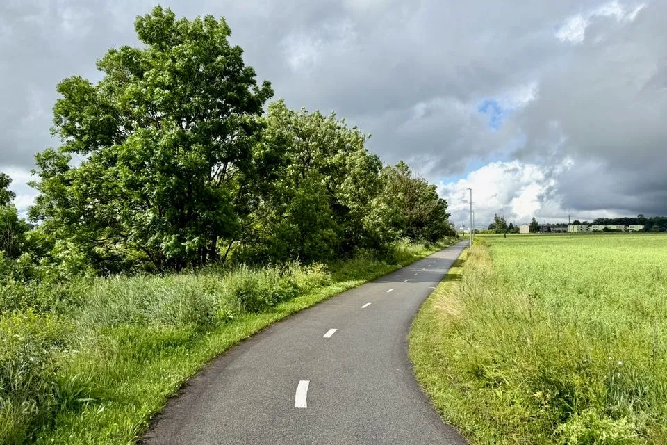 Maatulundusmaa, 12058 m² Maa - Lääne-Harju vald, Lehola küla - foto 3