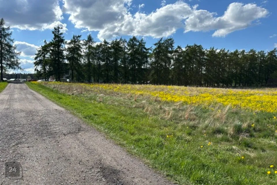 Земля жилой застройки, 10000 m² участок в Raasiku vald, Igavere küla - фото 5