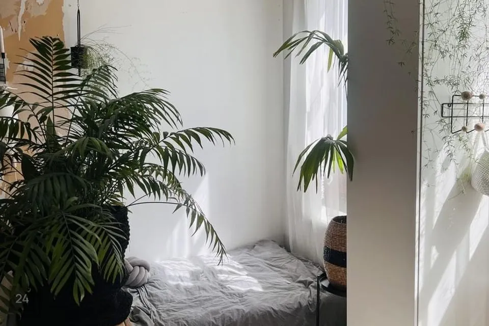 2-toaline Korter  -  Tartu linn, Tartu linn - foto 3