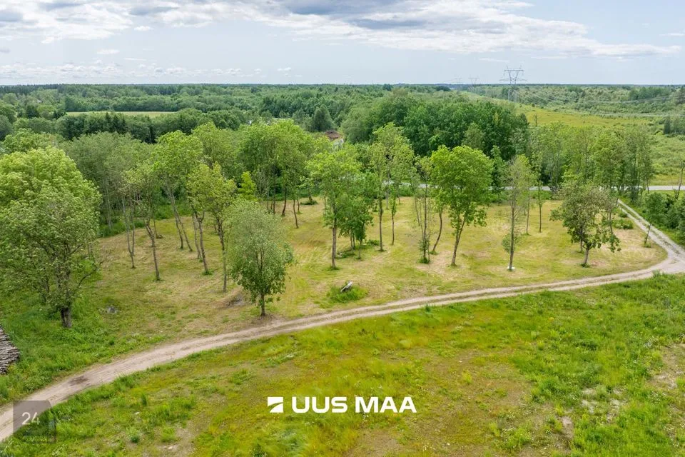 Maatulundusmaa, 14761 m² Maa  -  Saue vald, Püha küla - foto 2