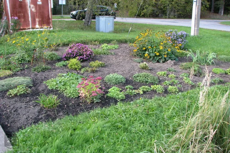 Elamumaa, 2911 m² Maa  -  Saarde vald, Kilingi-Nõmme linn - foto 2