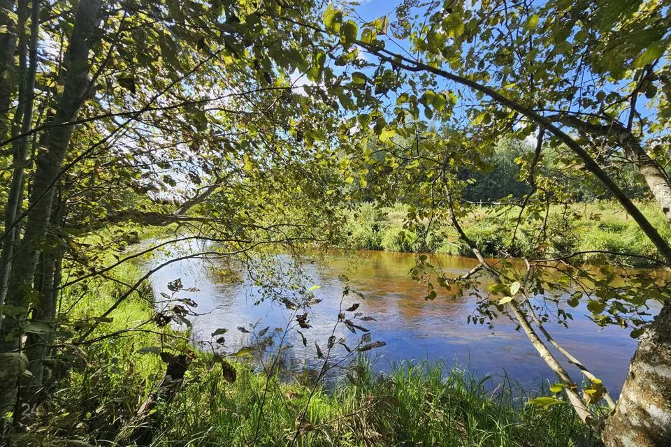 5-toaline Maja  -  Vinni vald, Ulvi küla